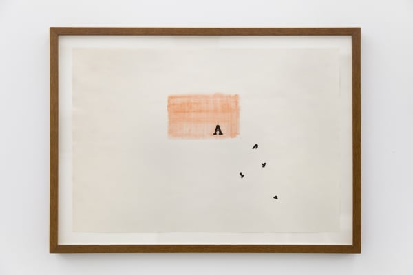 Sonia Andrade, Sem título, 1973-1974