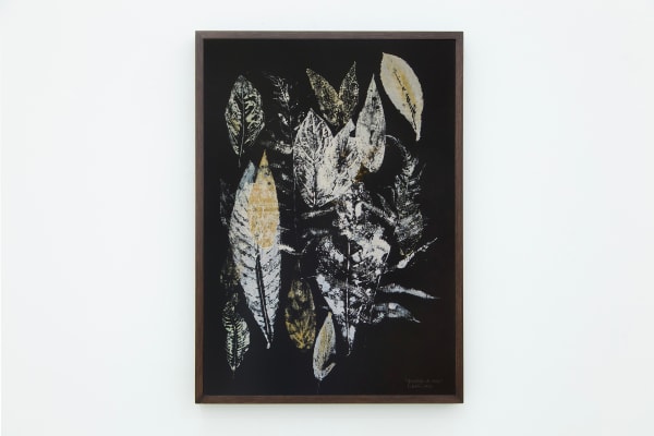 Laura Belém, Guardiães da Mata, 2023