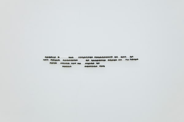 Frederico Filippi, Cobra Criada #B5, 2019