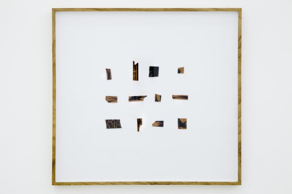 Frederico Filippi, Gramática #5, 2019