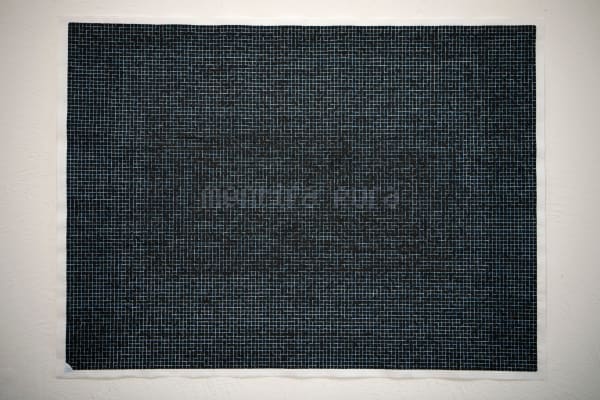 Marilá Dardot, Mentira Pura, 2022