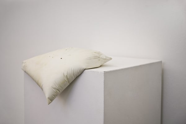 Renata de Bonis, Dormente #8 (Sleeper #8), 2015