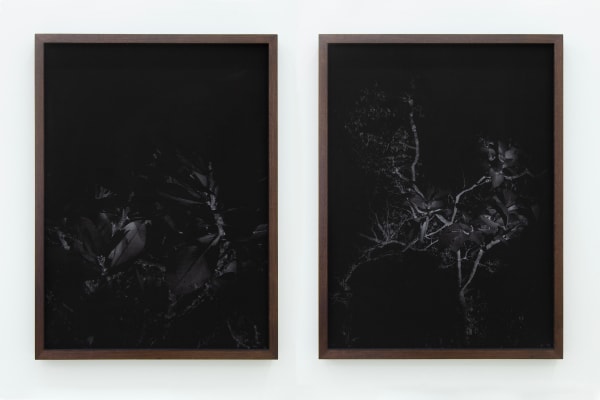 Laura Belém, Noites do Sertão #2, 2021