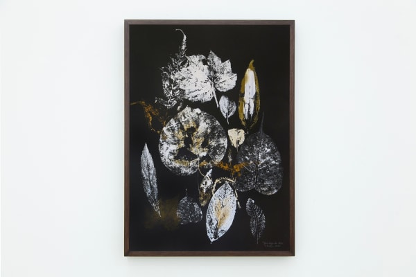 Laura Belém, Guardiães da Mata, 2023