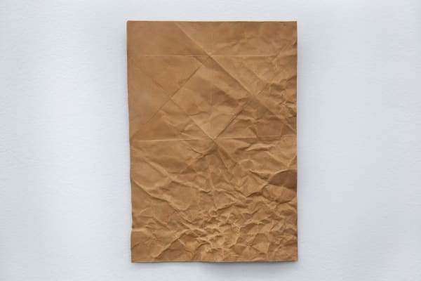 Vanderlei Lopes, Projeto (Tentativo e Erro) #5 (Project (trial and error) #5), 2016