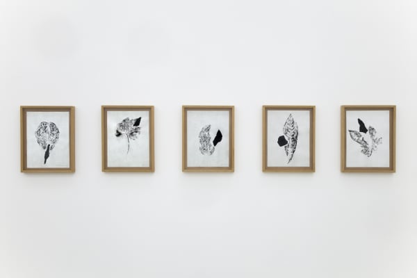 Laura Belém, Entreato I (Interact I), 2020