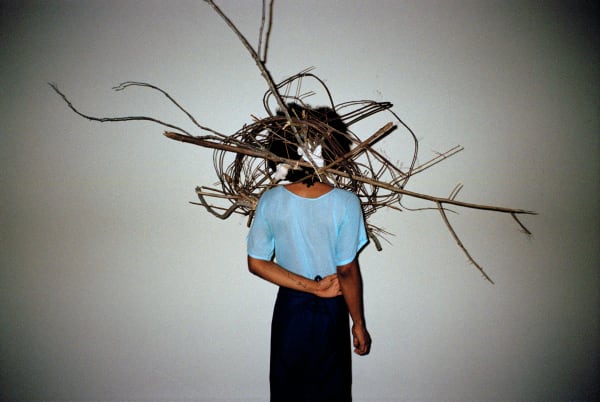 Tadáskía, Arranjo (terceira formação), 2019