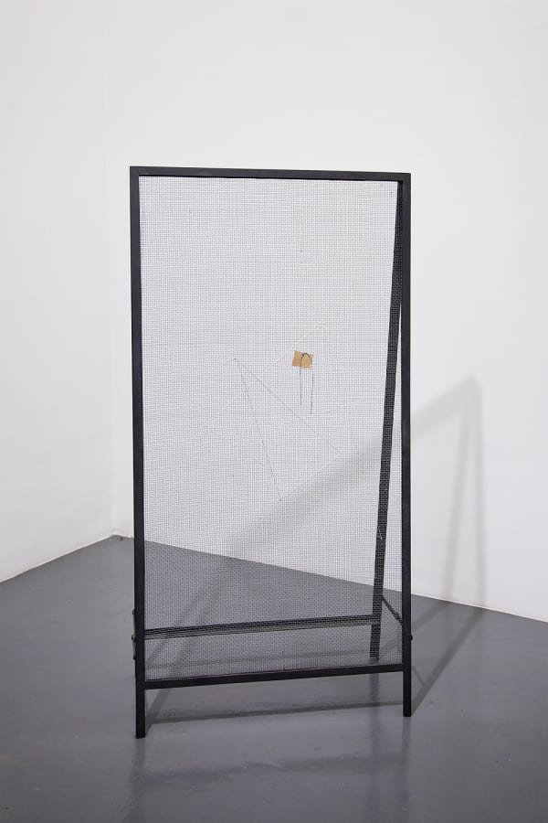 Débora Bolzsoni, Peneira (Screen), 2015