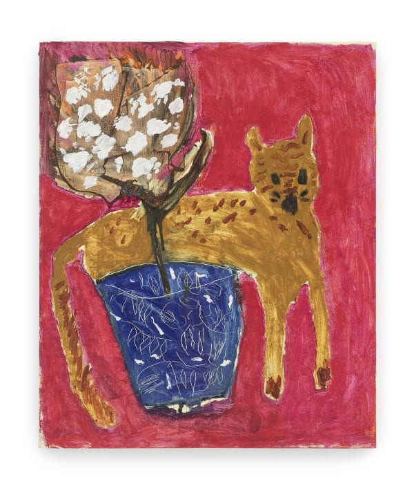 Ana Prata, Gato não sabe, 2019