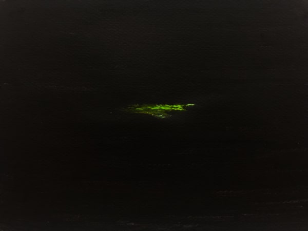 Janaina Wagner, Green flash, green flesh, 2021