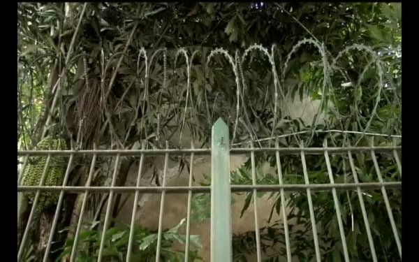 Sonia Andrade, Sem título, 2010