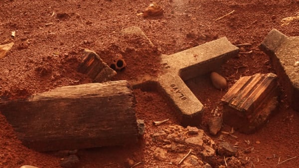 Yuri Firmeza, Ouro Branco, Inferno Verde #3 (White Gold, Green Hell #3), 2018