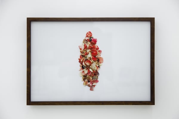 Joana Cesar, Rapina (Ravin), 2018