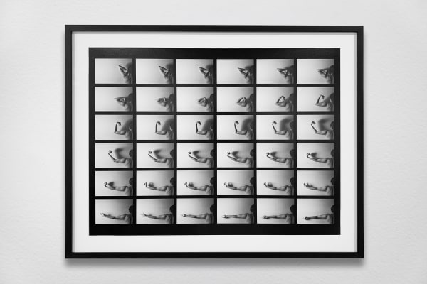 Sonia Andrade, Os braços da artista, 1982-2019