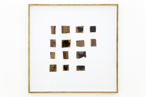 Frederico Filippi, Gramática #6, 2019