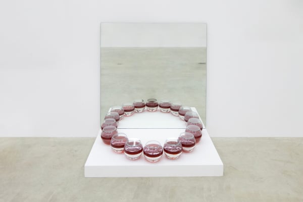 Ayrson Heráclito, Barrueco III, 2003