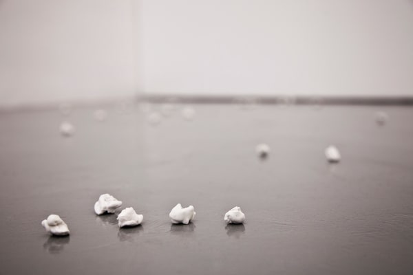 Débora Bolzsoni, Pipocas (Popcorn), 2008