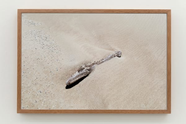 Laura Belém, Bicho, 2023