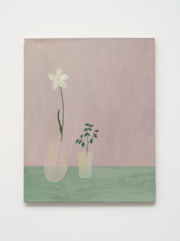 Brisa Noronha, capa de livro, 2024