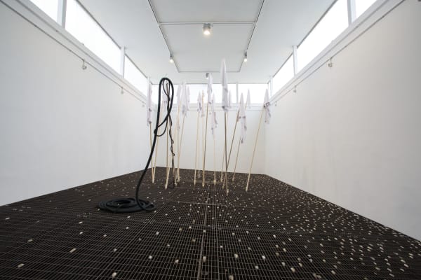 Cinthia Marcelle, Chão de Caça [Hunting ground], 2017