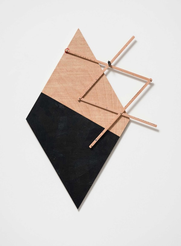 Beto Shwafaty, Projeções II (series), 2014 - 2015