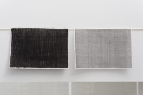 Bernardo Ortiz, Sem título, 2017