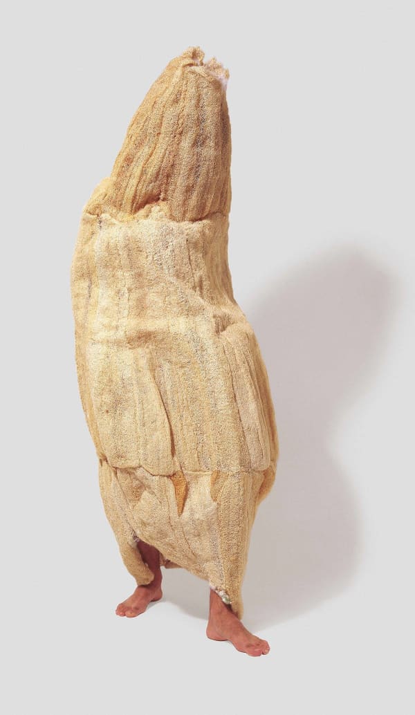 Jarbas Lopes, Ambiente Curto, 1998