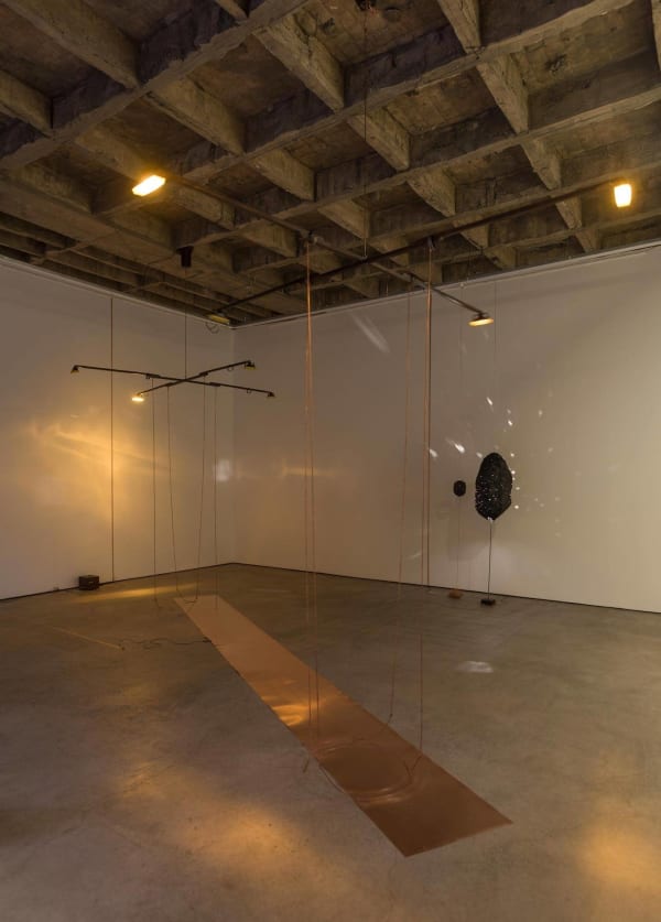 Eduardo Basualdo, Lights on the way, 2010