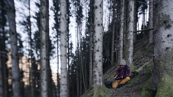 Marcellvs L., Nature’s being natural 181123, 2018