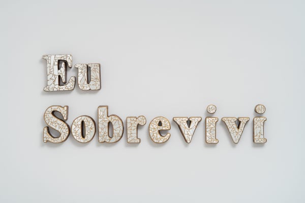 Panmela Castro Eu sobrevivi, série Residência [I I survived, from Residency series], 2021 madeira cedro, espelho [cedar wood, mirror] 70 x 176 cm 27 1/2 x 69 1/4 in Edition of 3 plus 1 artist's proof