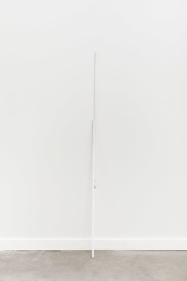 Fernanda Gomes, sem título [untitled], 2024