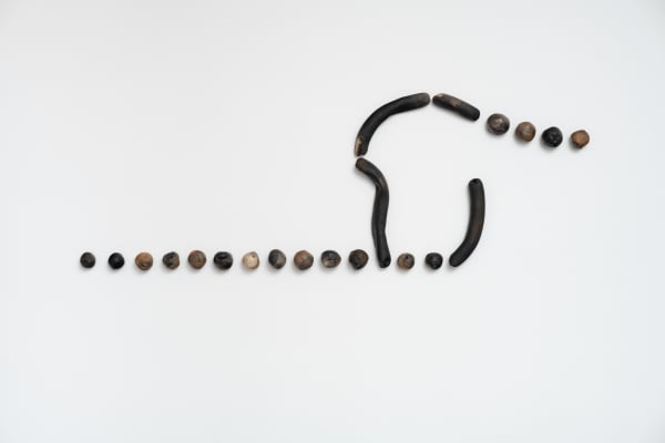 Anna Maria Maiolino, Linhas e Pontos, 2013/2015