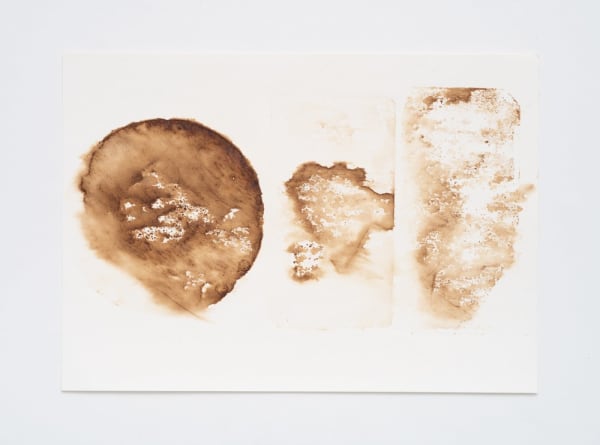 Fernanda Gomes, sem título [untitled], sem data