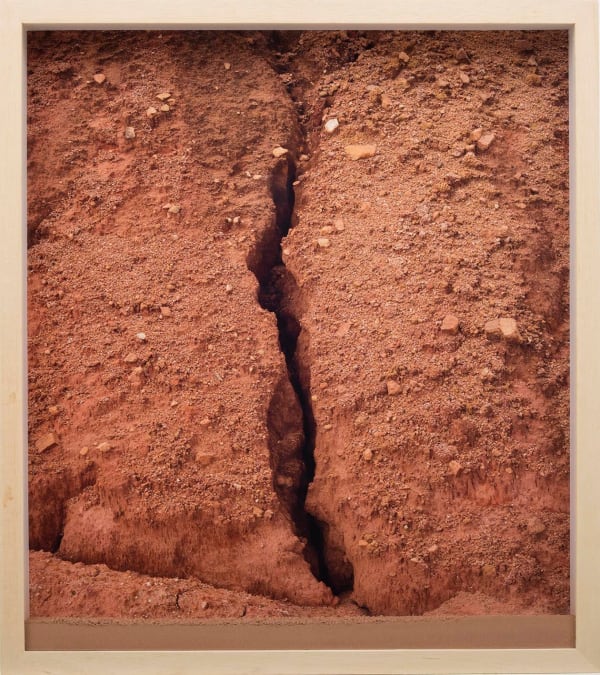 Pedro Motta, Falência # 2, 2016