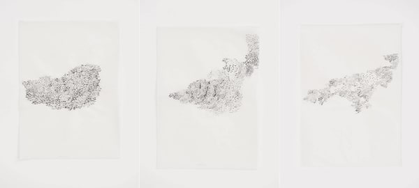 Bernardo Ortiz, Sem título, 2013