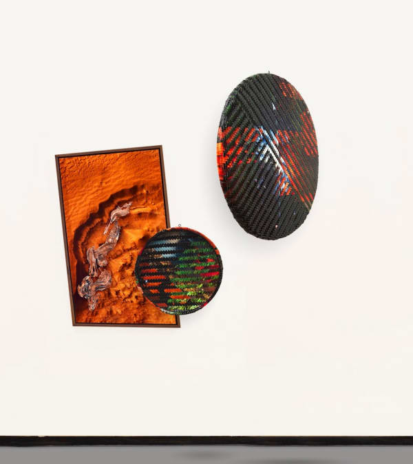 Clarissa Tossin, #AmazonisPlanitia3, 2019