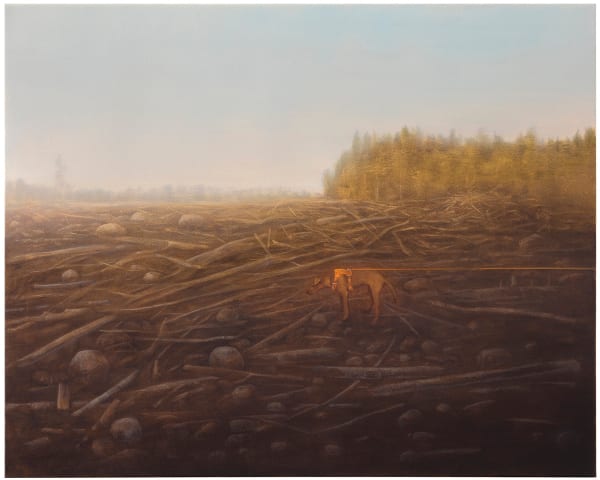 Kaninchen im Nirgendwo