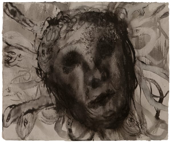 Hirveä Medusa / Förskräckliga Medusan / The Terrible Medusa