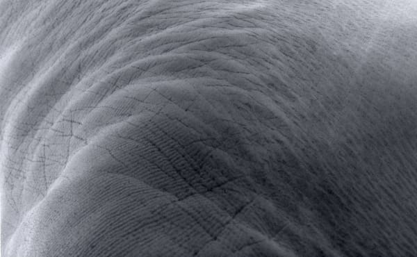 Phu Lang Sa Collabtive Trần Kim Phượng, Utopie 2, 2022 Film Negative Slide Holder Wooden Box Film Negative 2,4 x 3,6 cm Wooden Box 21 x 31 cm