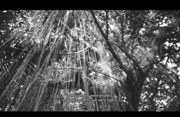 Lêna Bùi Kindred, 2021 Video 7:38 minutes. 1920x1080. 25p. color, stereo