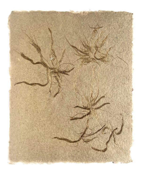 Antinea Jimena Pérez Castro, Au gré de l'air / Sans Titre (7), 2023