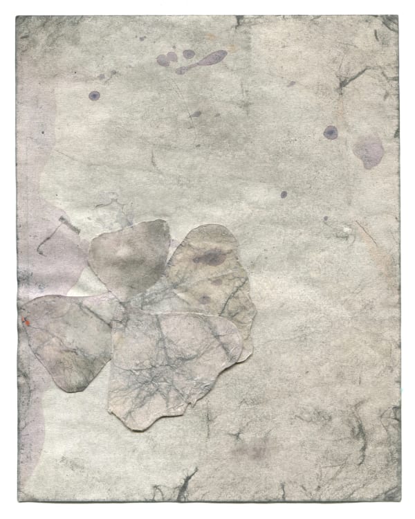 Antinea Jimena Pérez Castro, Caractères / Sans titre (3), 2017