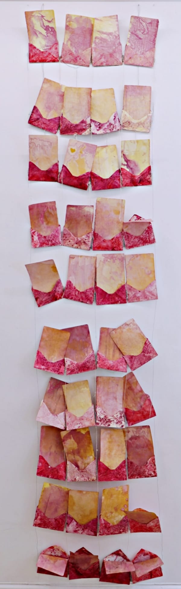 Antinea Jimena Pérez Castro, Des larmes, des fleurs (cartas a un útero), 2023