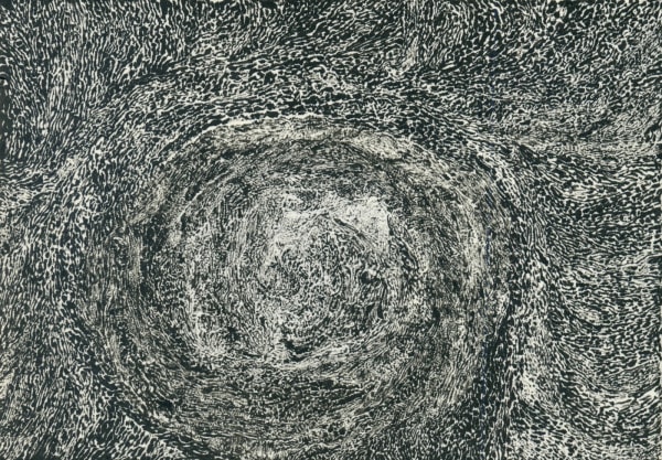 Antinea Jimena Pérez Castro, Carnet Noir, 2013