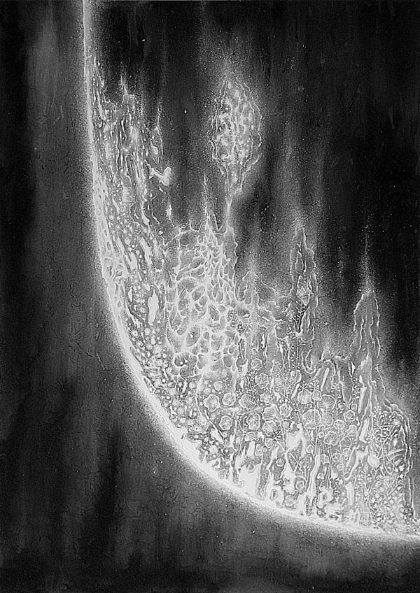 Đỗ Tuấn-Anh, Fragile #9, 2018