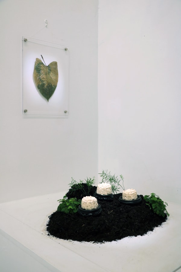 Victoria Pham, Lunar offering, 2025