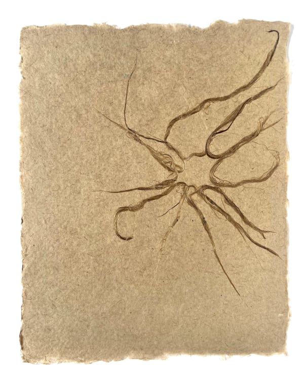 Antinea Jimena Pérez Castro, Au gré de l'air / Sans Titre (12), 2023