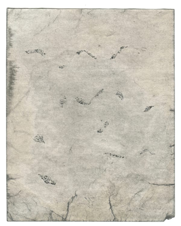 Antinea Jimena Pérez Castro, Caractères / Sans titre (8), 2017