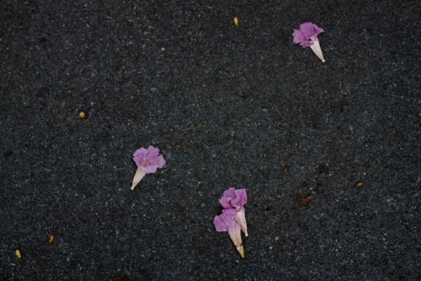 Phu Lang Sa Collabtive, Maya de Vulpillières, Bangkok, Thailand, 2023