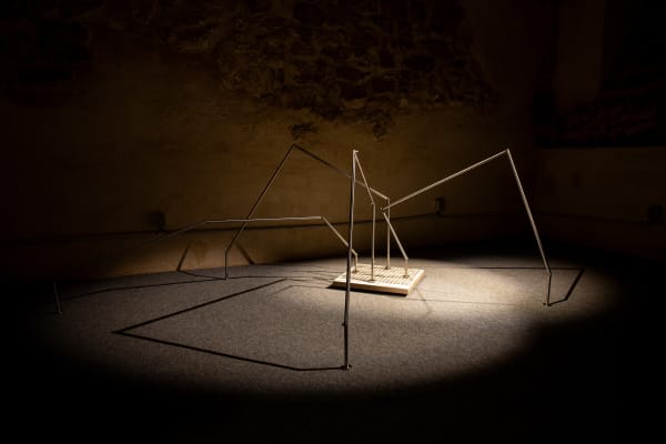Madeline Jiménez Santil - A drawing that can walk on rocks, 2024